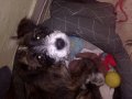 WP_20160610_002.jpg